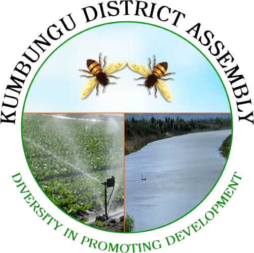 district logo